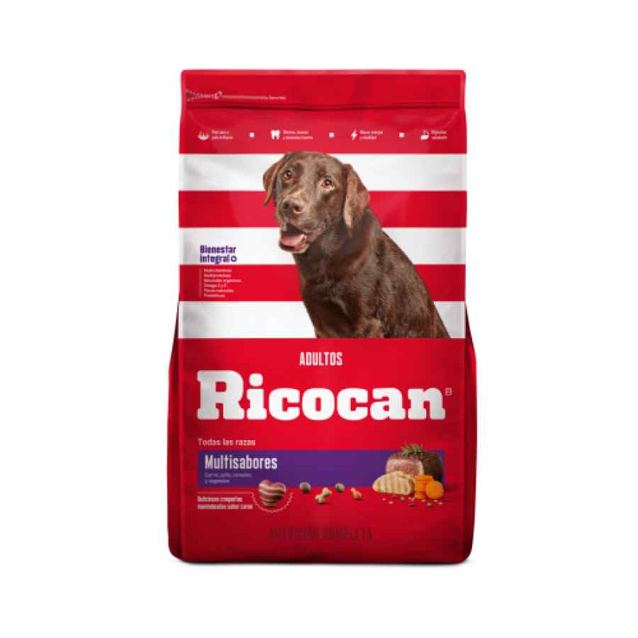 RICOCAN ADULTOS MULTISABORES x 454GR