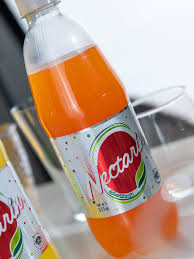 GASEOSA NECTARIN SABOR NARANJA x 600 ml