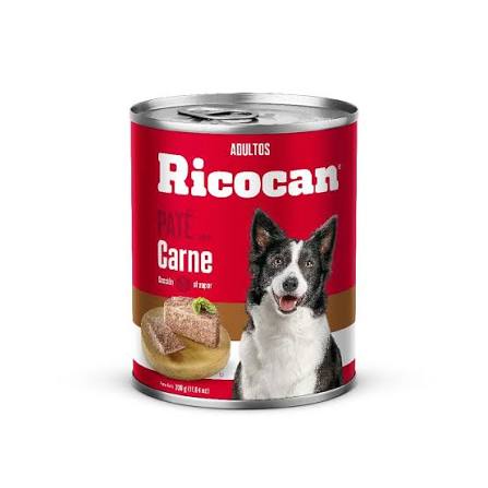 RICOCAN ADULTOS PATE SABOR CARNE x 330 gr